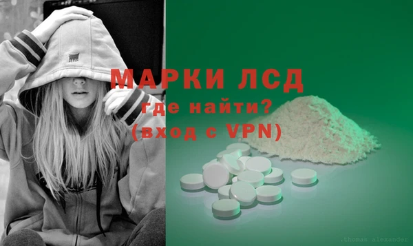 спайс Алзамай