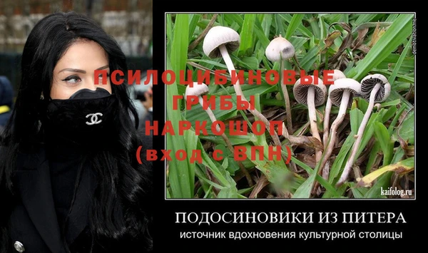 спайс Алзамай
