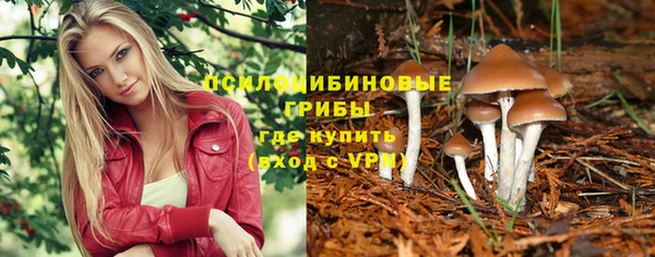 спайс Алексеевка
