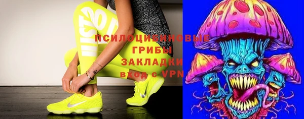 прущая мука Алексин